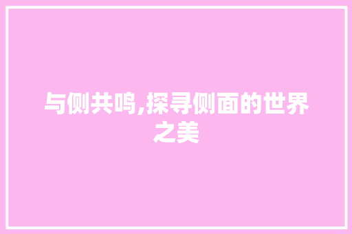 与侧共鸣,探寻侧面的世界之美