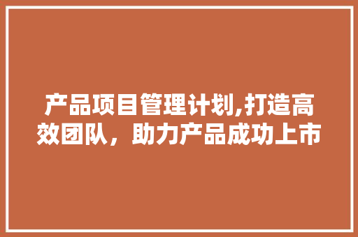 产品项目管理计划,打造高效团队，助力产品成功上市