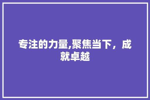 专注的力量,聚焦当下，成就卓越 国学经典