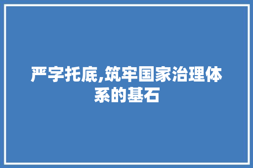 严字托底,筑牢国家治理体系的基石