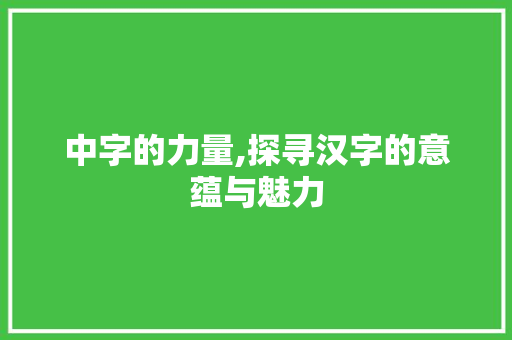 中字的力量,探寻汉字的意蕴与魅力