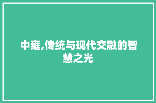 中雍,传统与现代交融的智慧之光