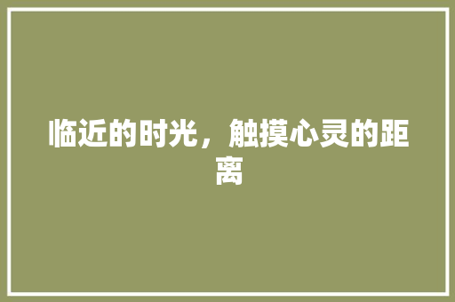 临近的时光，触摸心灵的距离
