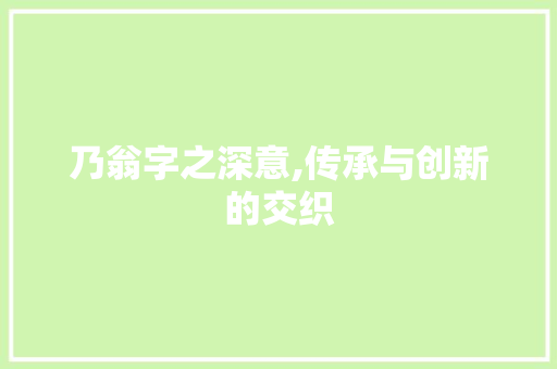乃翁字之深意,传承与创新的交织
