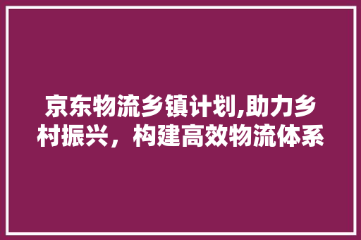 京东物流乡镇计划,助力乡村振兴，构建高效物流体系