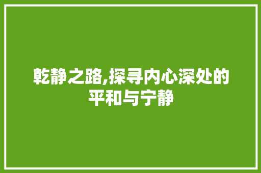 乾静之路,探寻内心深处的平和与宁静