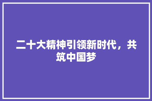 二十大精神引领新时代，共筑中国梦