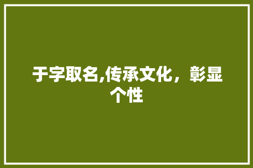 于字取名,传承文化，彰显个性