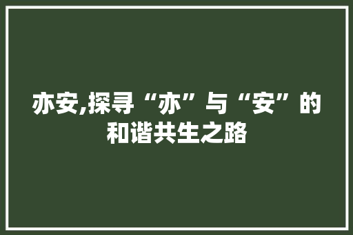亦安,探寻“亦”与“安”的和谐共生之路