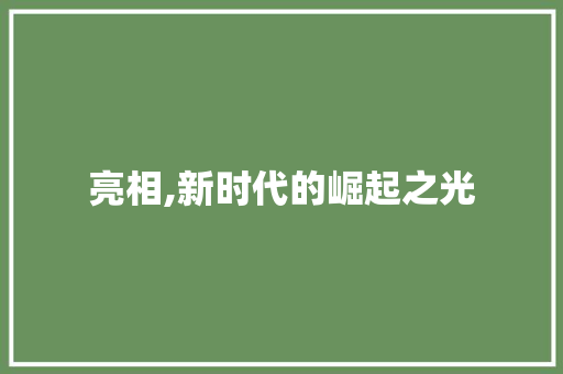 亮相,新时代的崛起之光