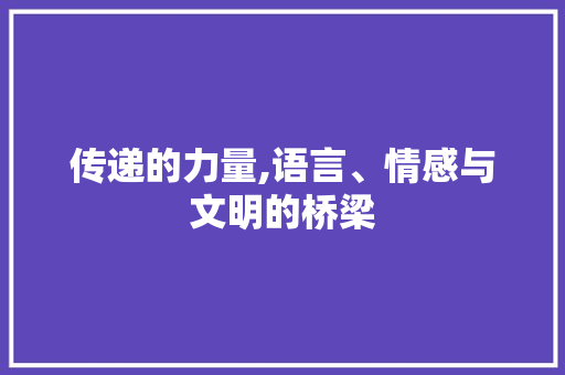 传递的力量,语言、情感与文明的桥梁