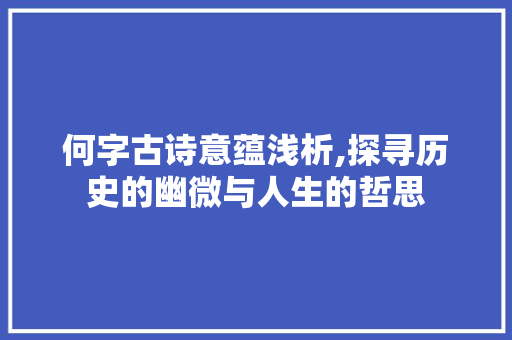 何字古诗意蕴浅析,探寻历史的幽微与人生的哲思