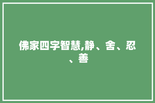 佛家四字智慧,静、舍、忍、善