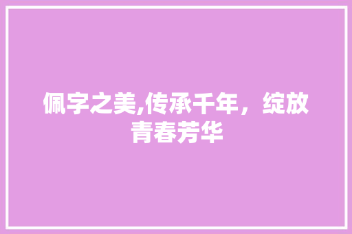 佩字之美,传承千年，绽放青春芳华
