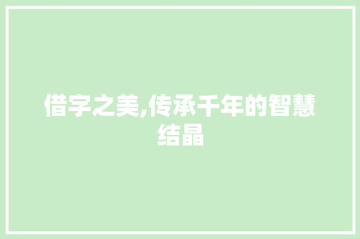 借字之美,传承千年的智慧结晶