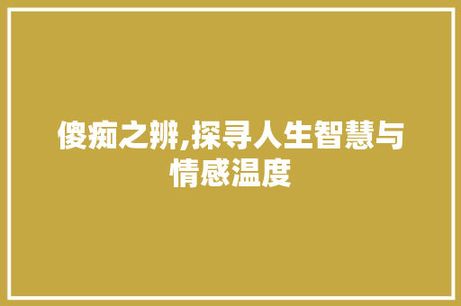 傻痴之辨,探寻人生智慧与情感温度