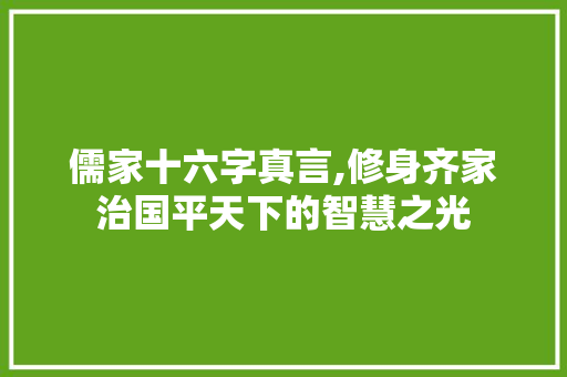 儒家十六字真言,修身齐家治国平天下的智慧之光