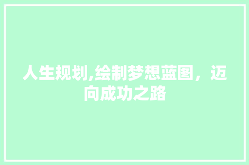人生规划,绘制梦想蓝图，迈向成功之路