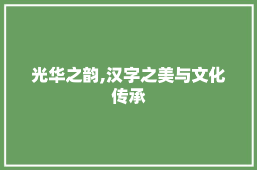 光华之韵,汉字之美与文化传承