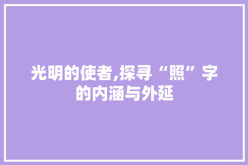 光明的使者,探寻“照”字的内涵与外延