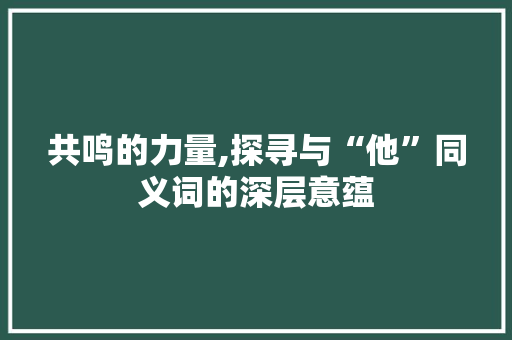 共鸣的力量,探寻与“他”同义词的深层意蕴