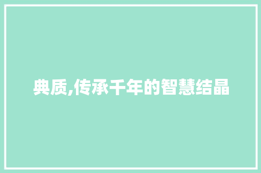典质,传承千年的智慧结晶