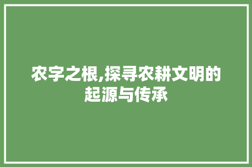 农字之根,探寻农耕文明的起源与传承