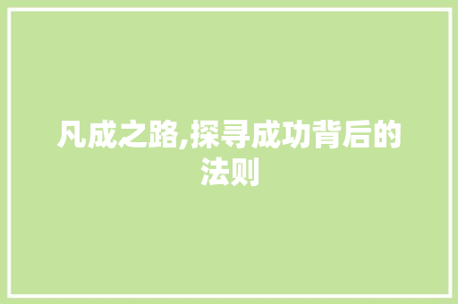 凡成之路,探寻成功背后的法则