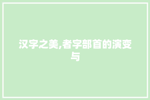 汉字之美,者字部首的演变与