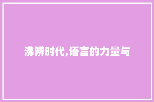 沸辨时代,语言的力量与 个人简历