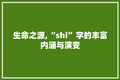 生命之源,“shi”字的丰富内涵与演变