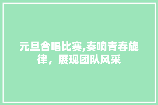 元旦合唱比赛,奏响青春旋律，展现团队风采