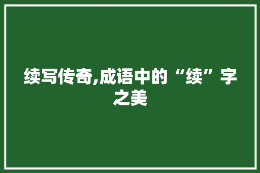 续写传奇,成语中的“续”字之美
