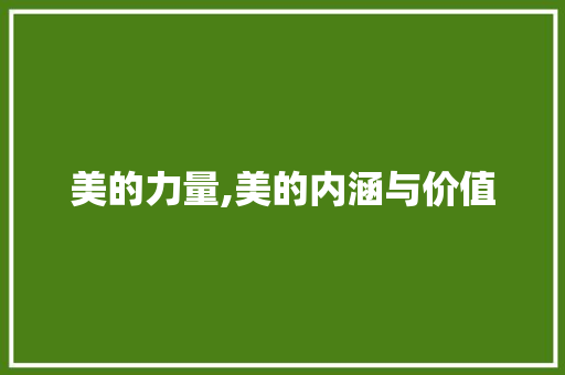美的力量,美的内涵与价值