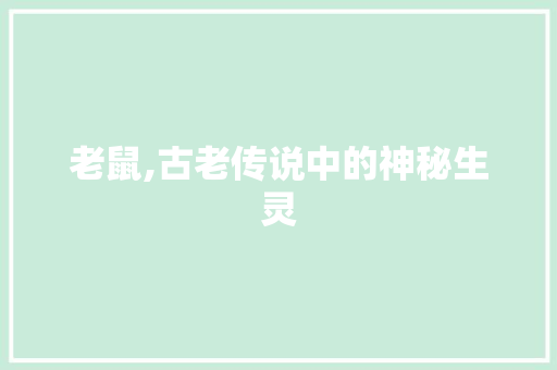 老鼠,古老传说中的神秘生灵 国学经典