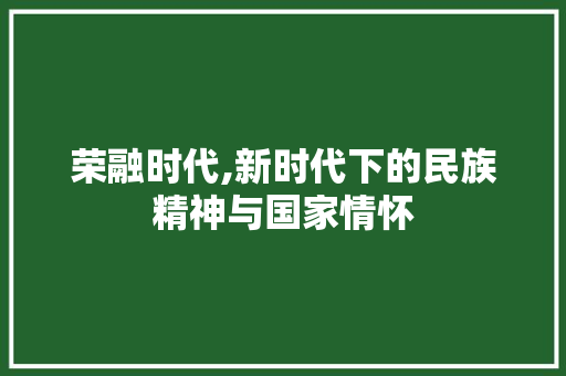 荣融时代,新时代下的民族精神与国家情怀