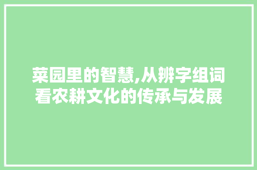 菜园里的智慧,从辨字组词看农耕文化的传承与发展
