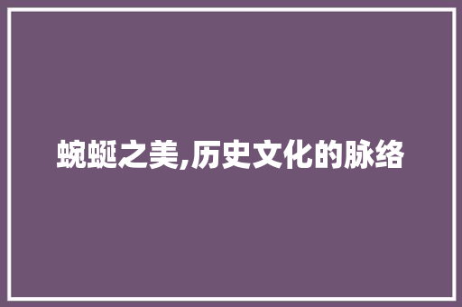 蜿蜒之美,历史文化的脉络