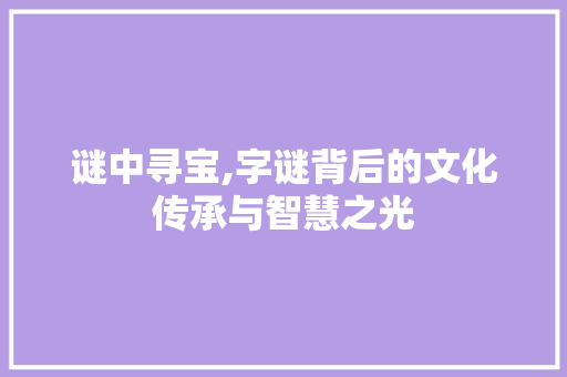 谜中寻宝,字谜背后的文化传承与智慧之光