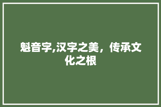 魁音字,汉字之美，传承文化之根