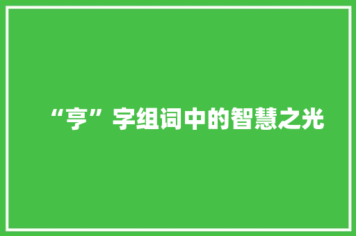 “亨”字组词中的智慧之光
