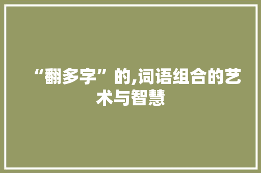 “翻多字”的,词语组合的艺术与智慧 个人简历