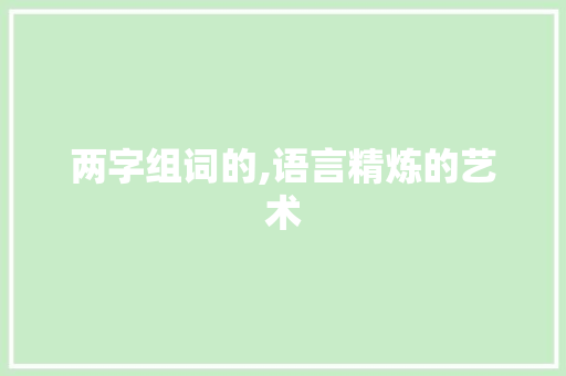 两字组词的,语言精炼的艺术 成语大全