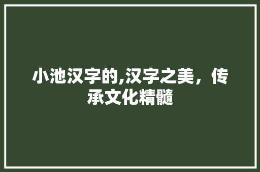 小池汉字的,汉字之美，传承文化精髓