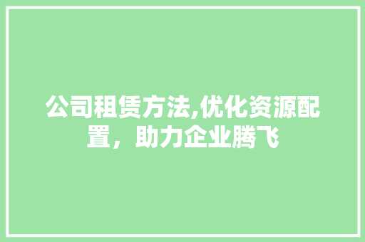公司租赁方法,优化资源配置，助力企业腾飞