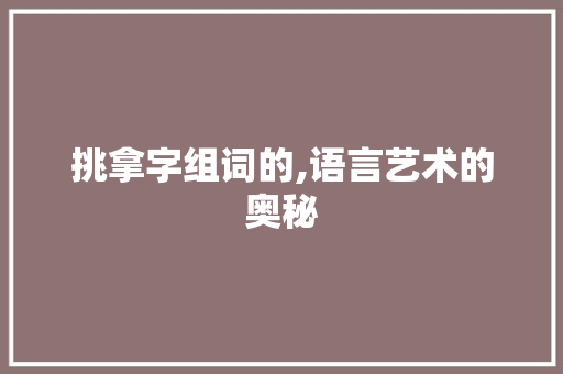 挑拿字组词的,语言艺术的奥秘