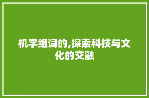 机字组词的,探索科技与文化的交融