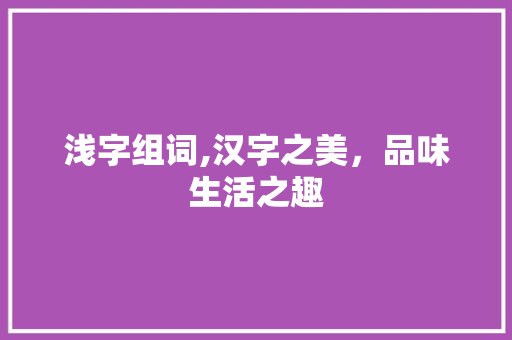 浅字组词,汉字之美，品味生活之趣