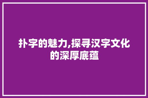 扑字的魅力,探寻汉字文化的深厚底蕴