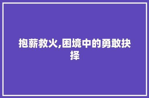 抱薪救火,困境中的勇敢抉择 合同范本